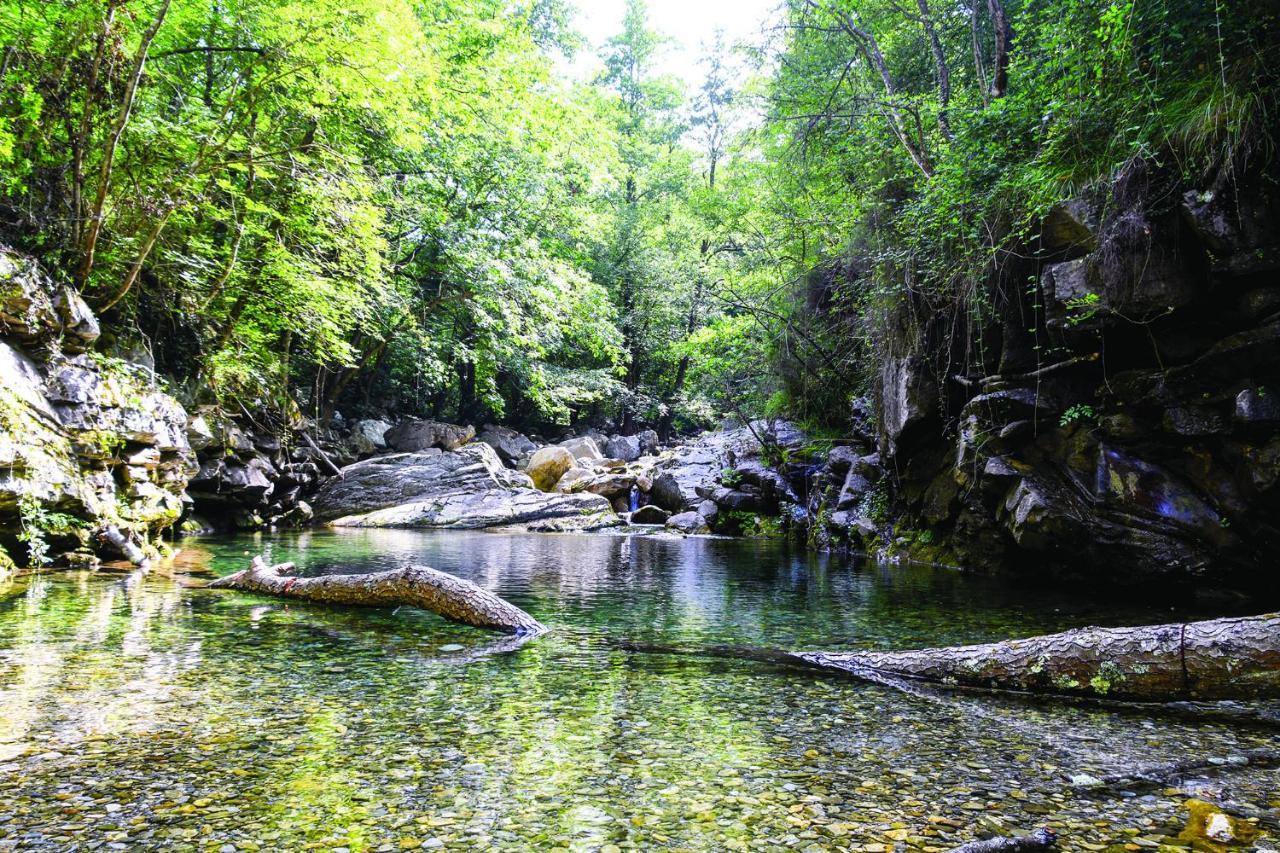 Agriturismo Nonnamelia Nasino المظهر الخارجي الصورة