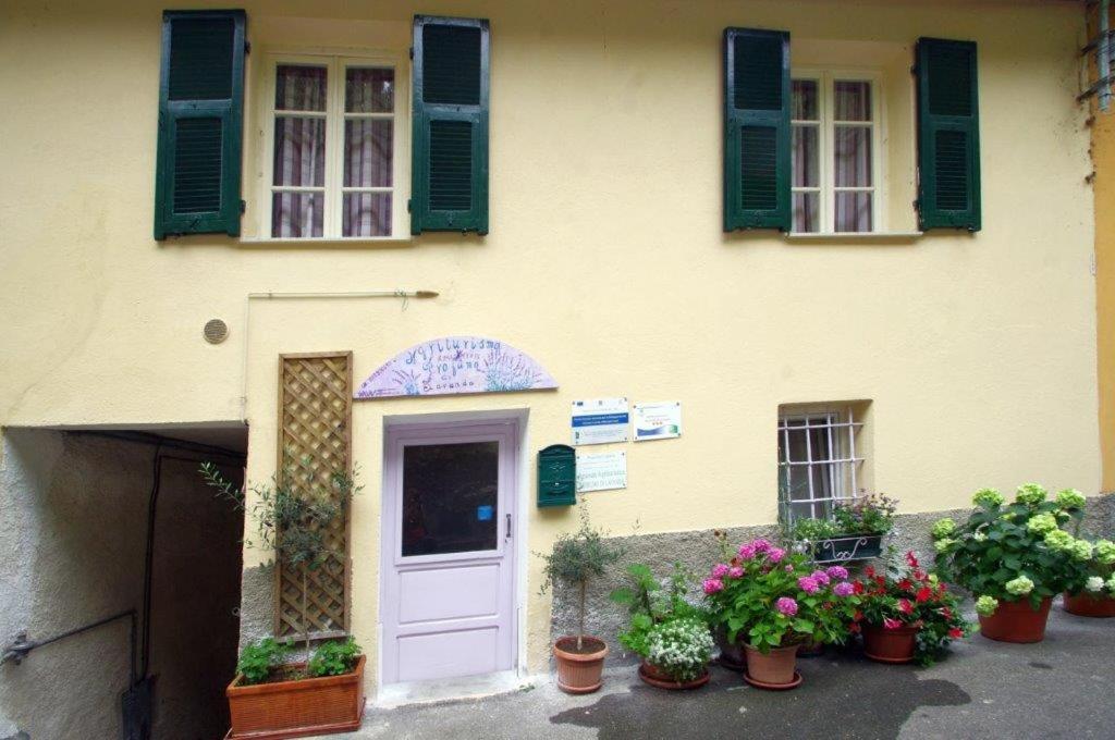 Agriturismo Nonnamelia Nasino المظهر الخارجي الصورة