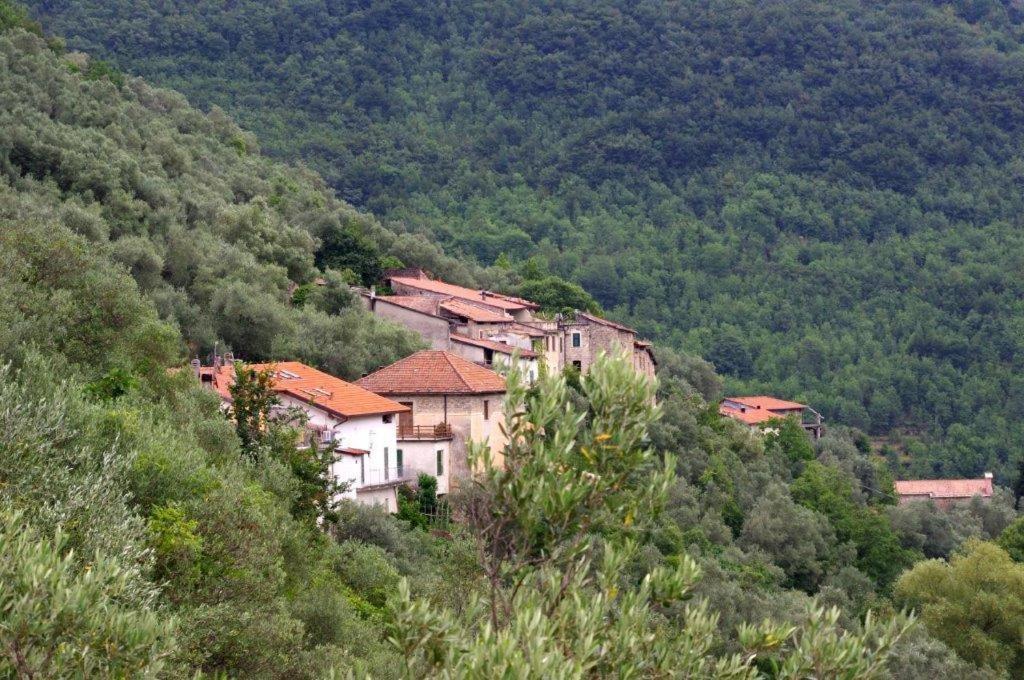Agriturismo Nonnamelia Nasino المظهر الخارجي الصورة