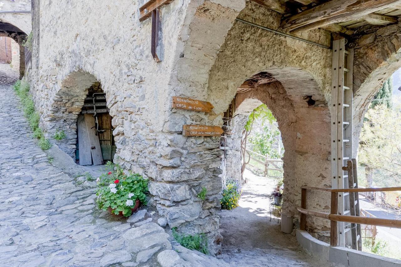 Agriturismo Nonnamelia Nasino المظهر الخارجي الصورة